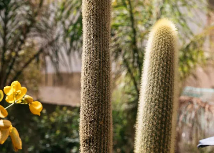 Large With Private Garden דירה מרססקלה